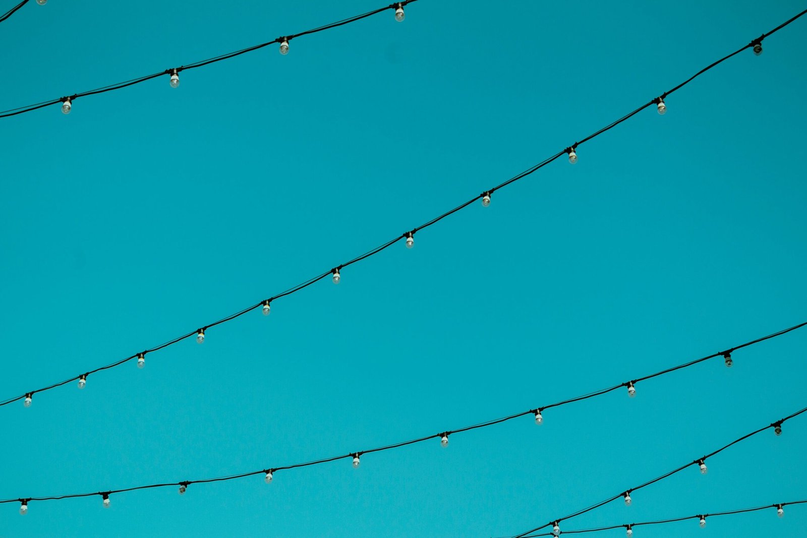 worm's eye view photography of black string lights